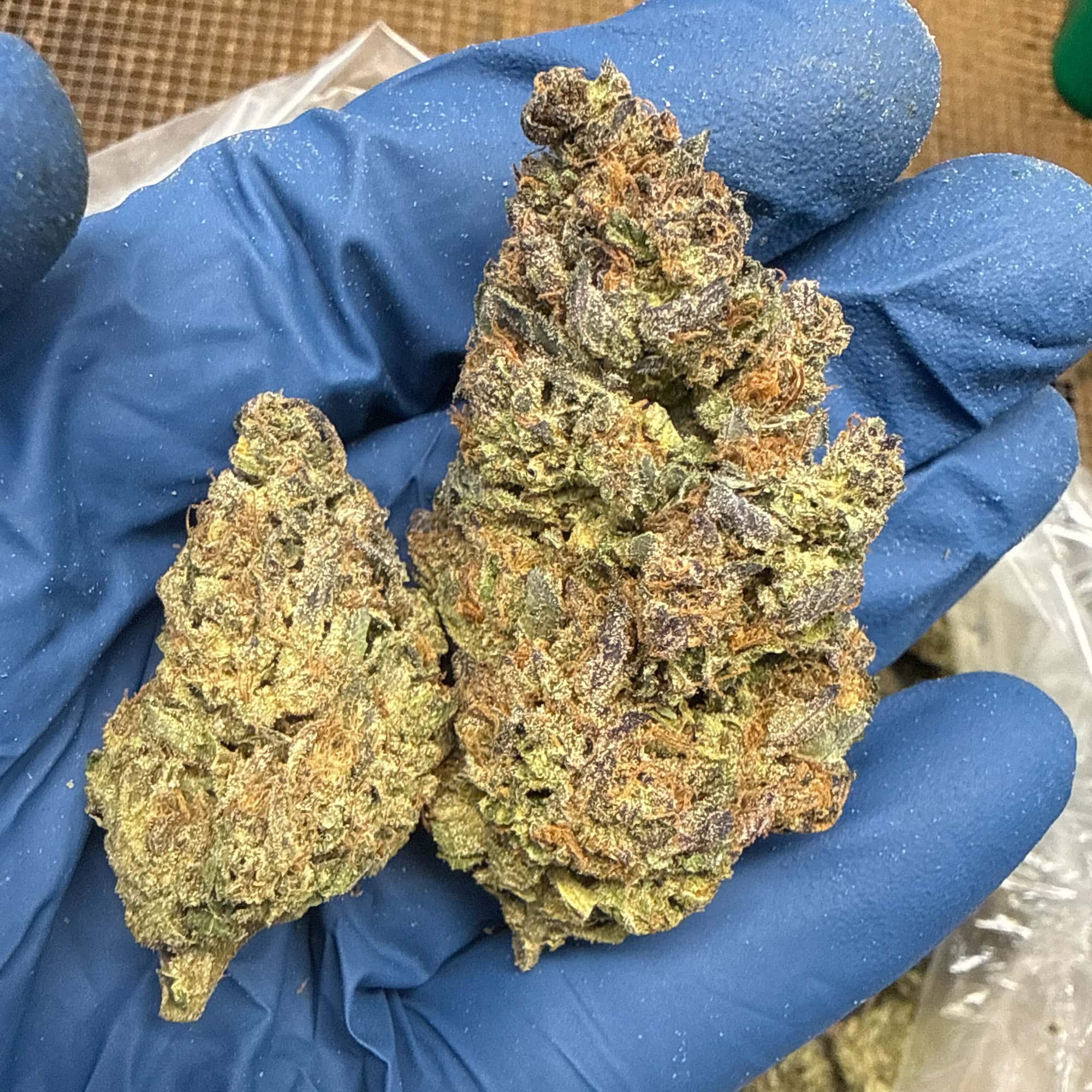 Watermelon Runtz THCA Flower for Sale
