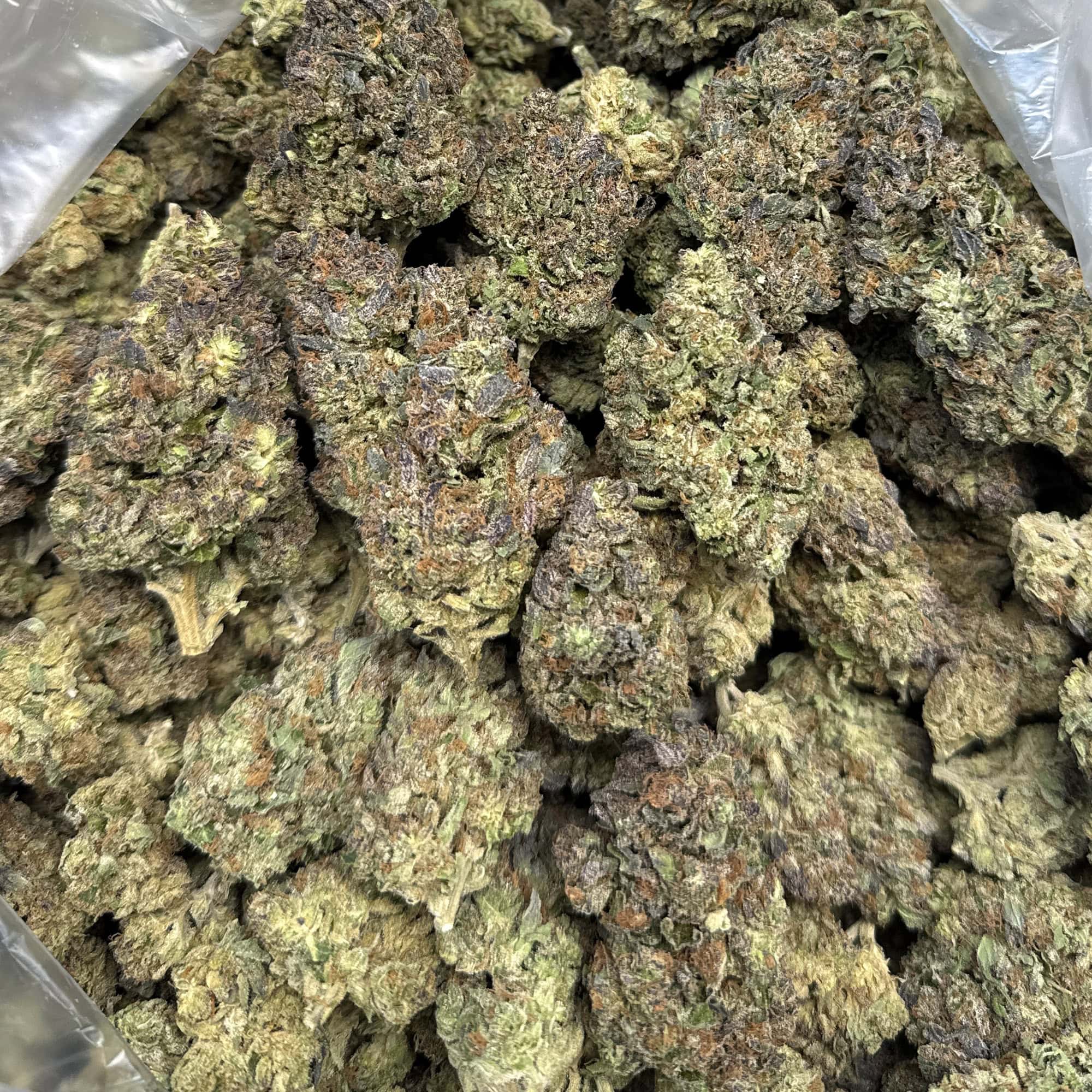 Watermelon Runtz THCA Flower Cheap