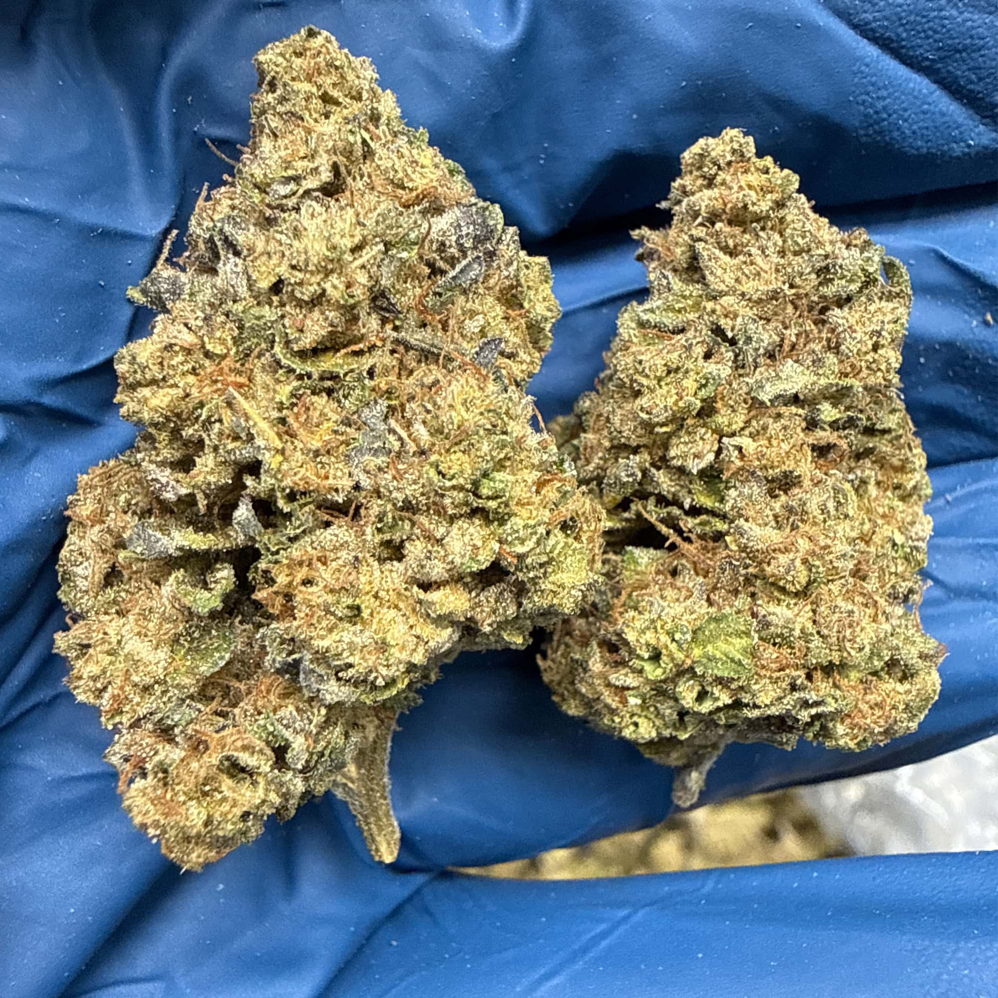 Bacio Cheap THCA Flower Pounds
