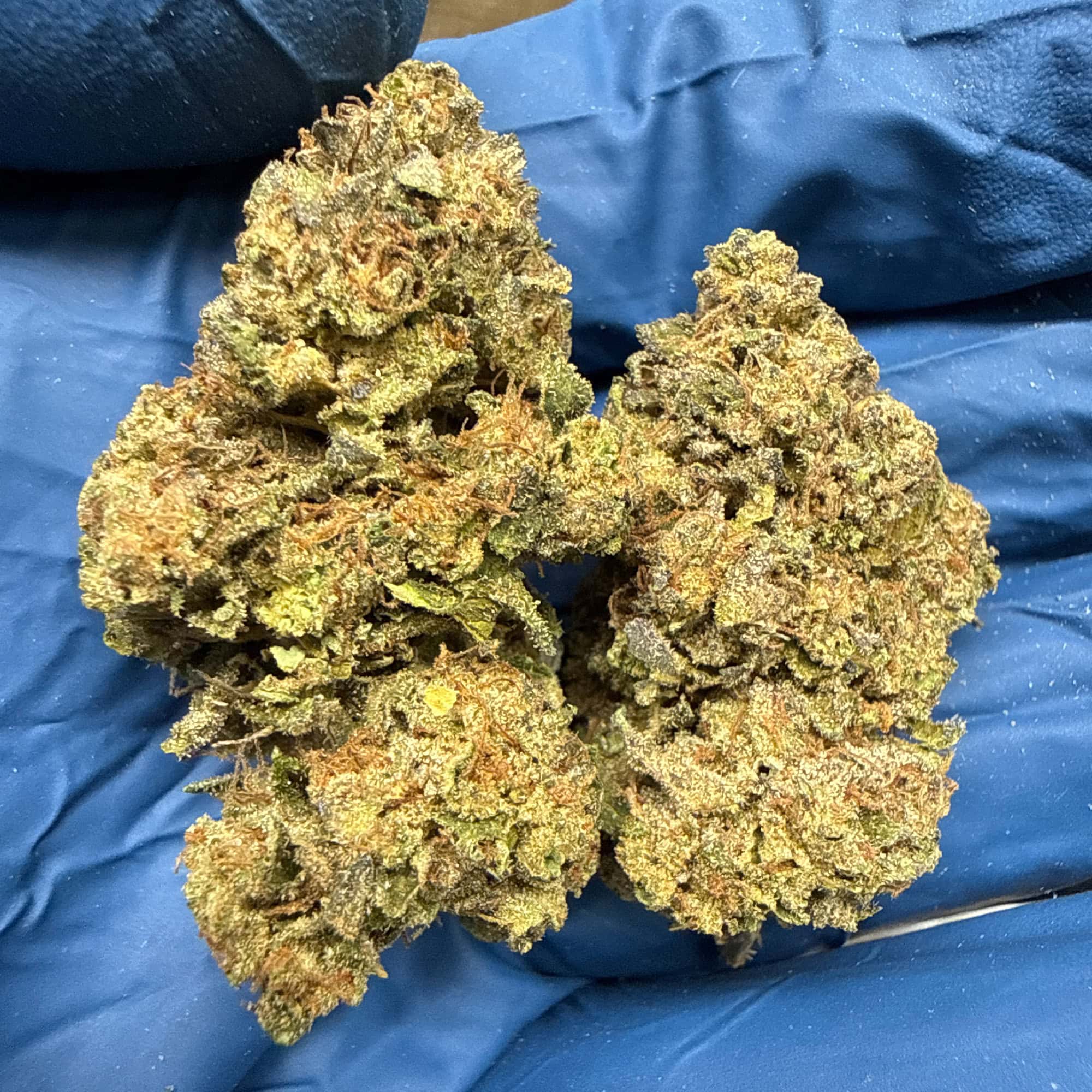 Cheap THCA Flower Pounds for Sale
