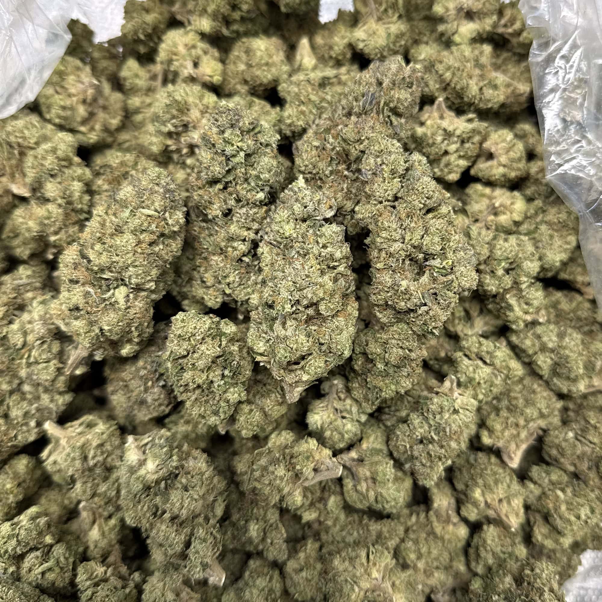 Drippin Dots THCA Flower Cheap