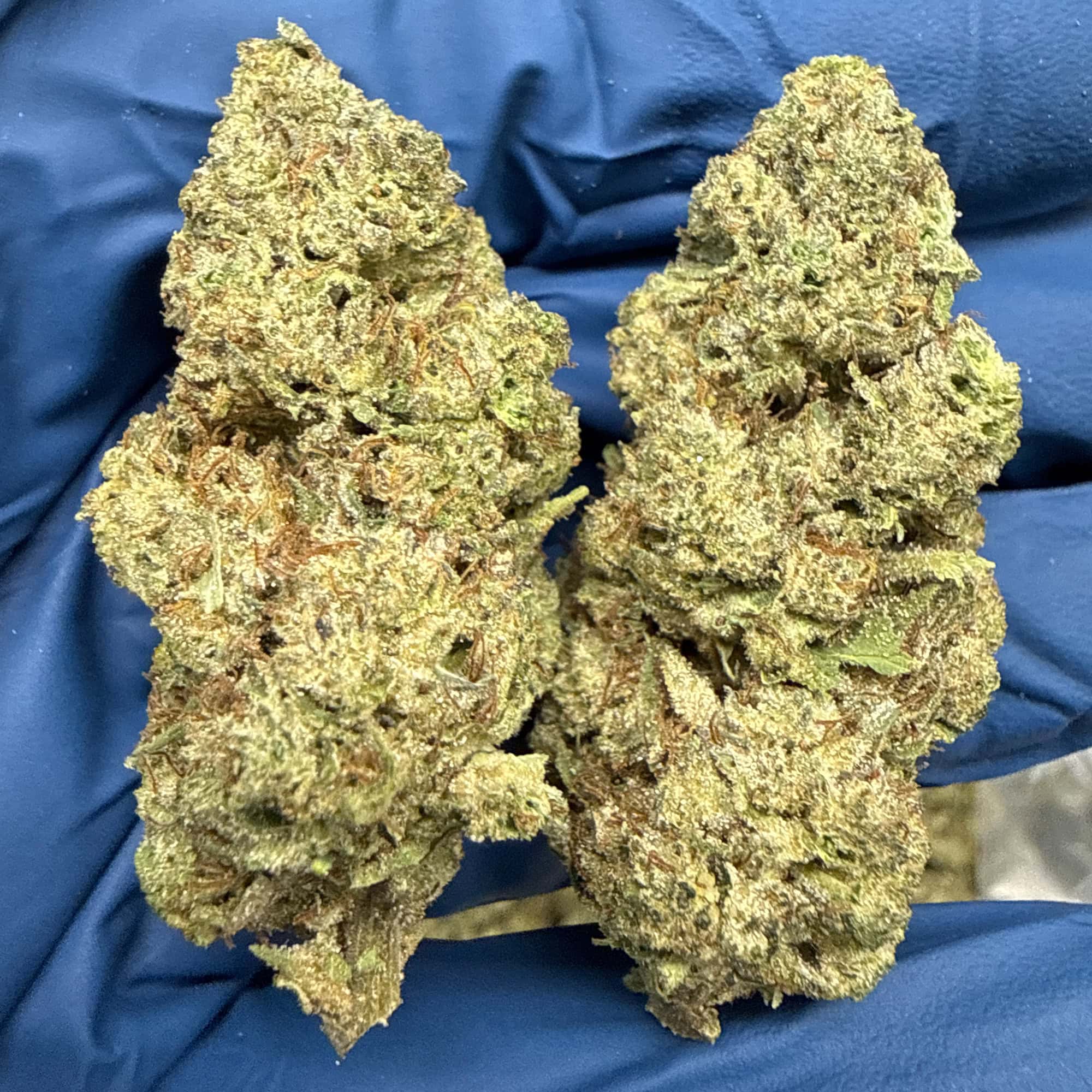Hashburger THCA Flower Pounds