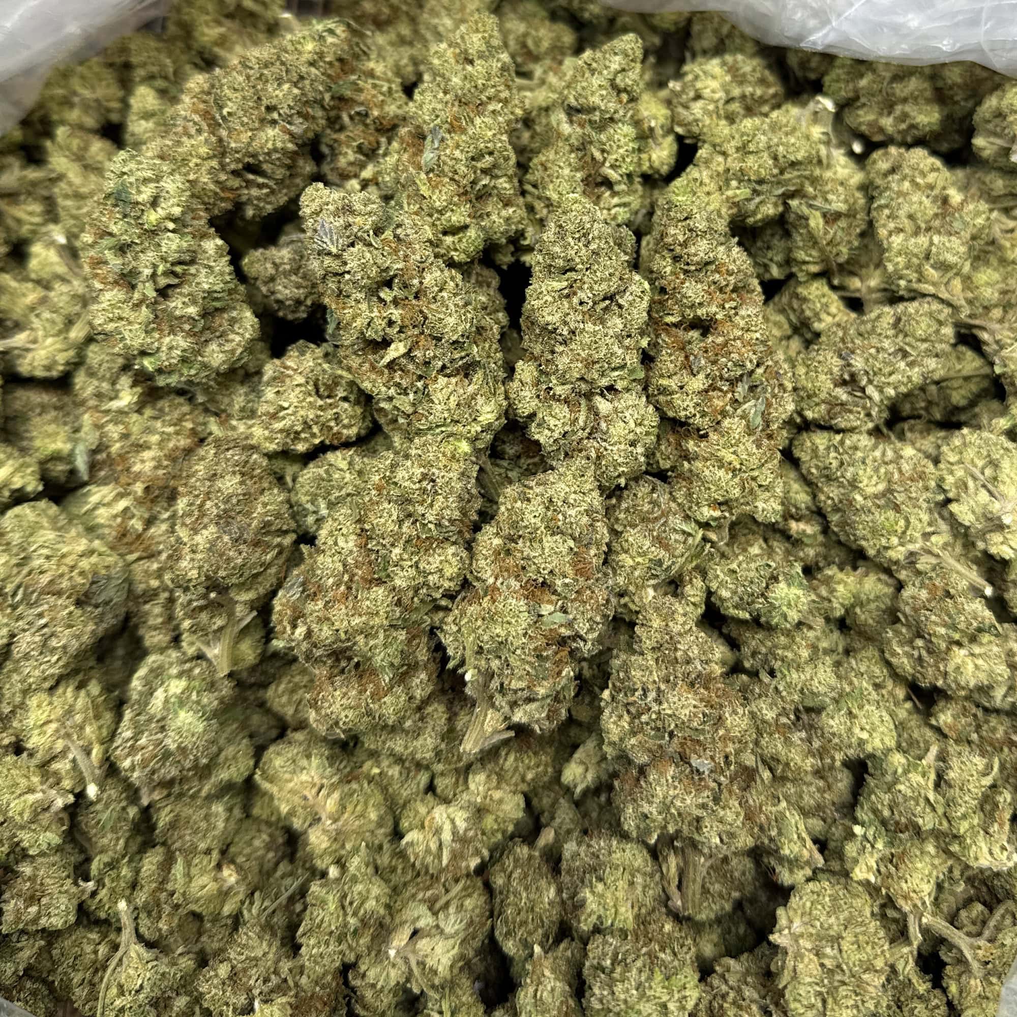 Hashburger THCA Flower for Sale