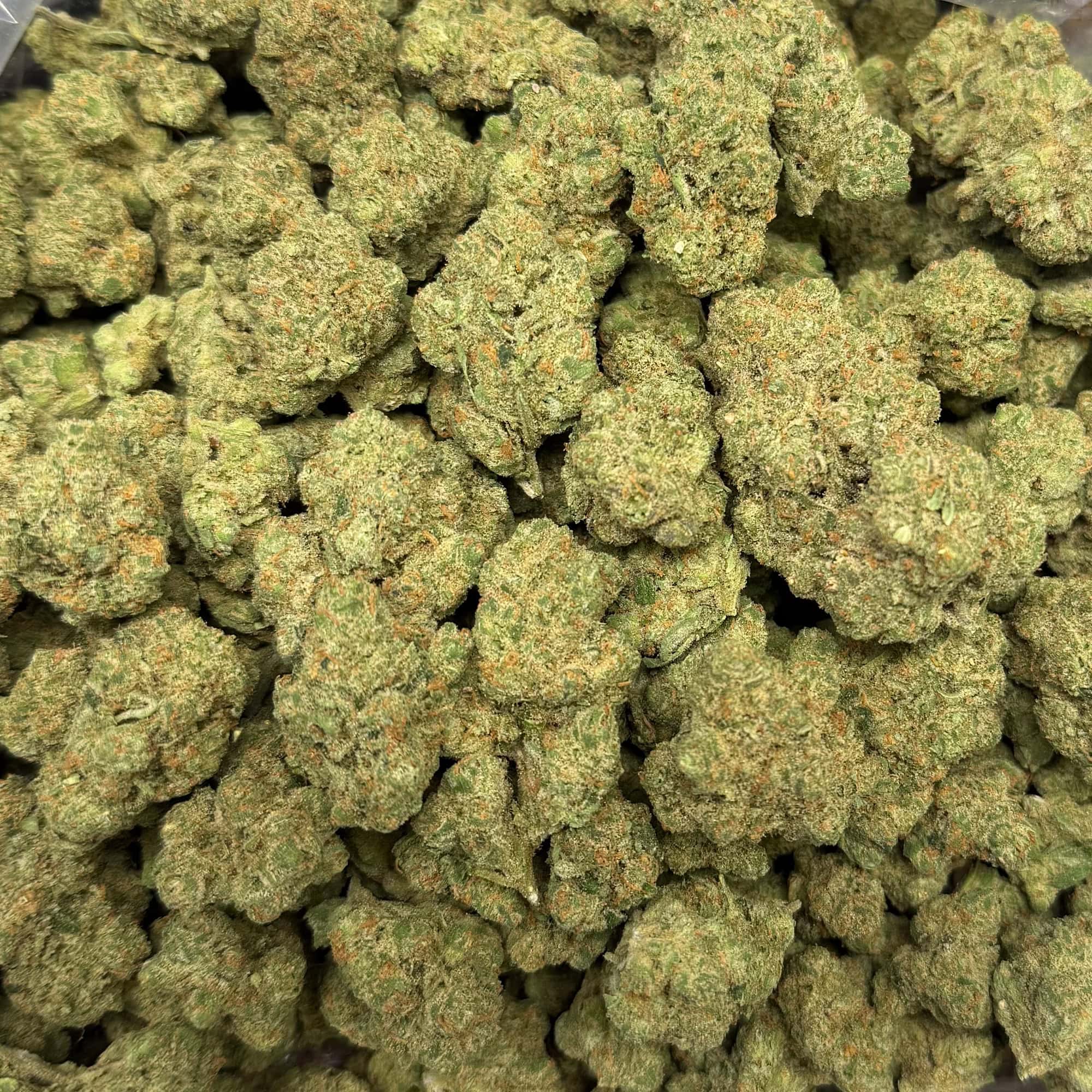 Jack Herer THCA Flower Pounds - Image 3