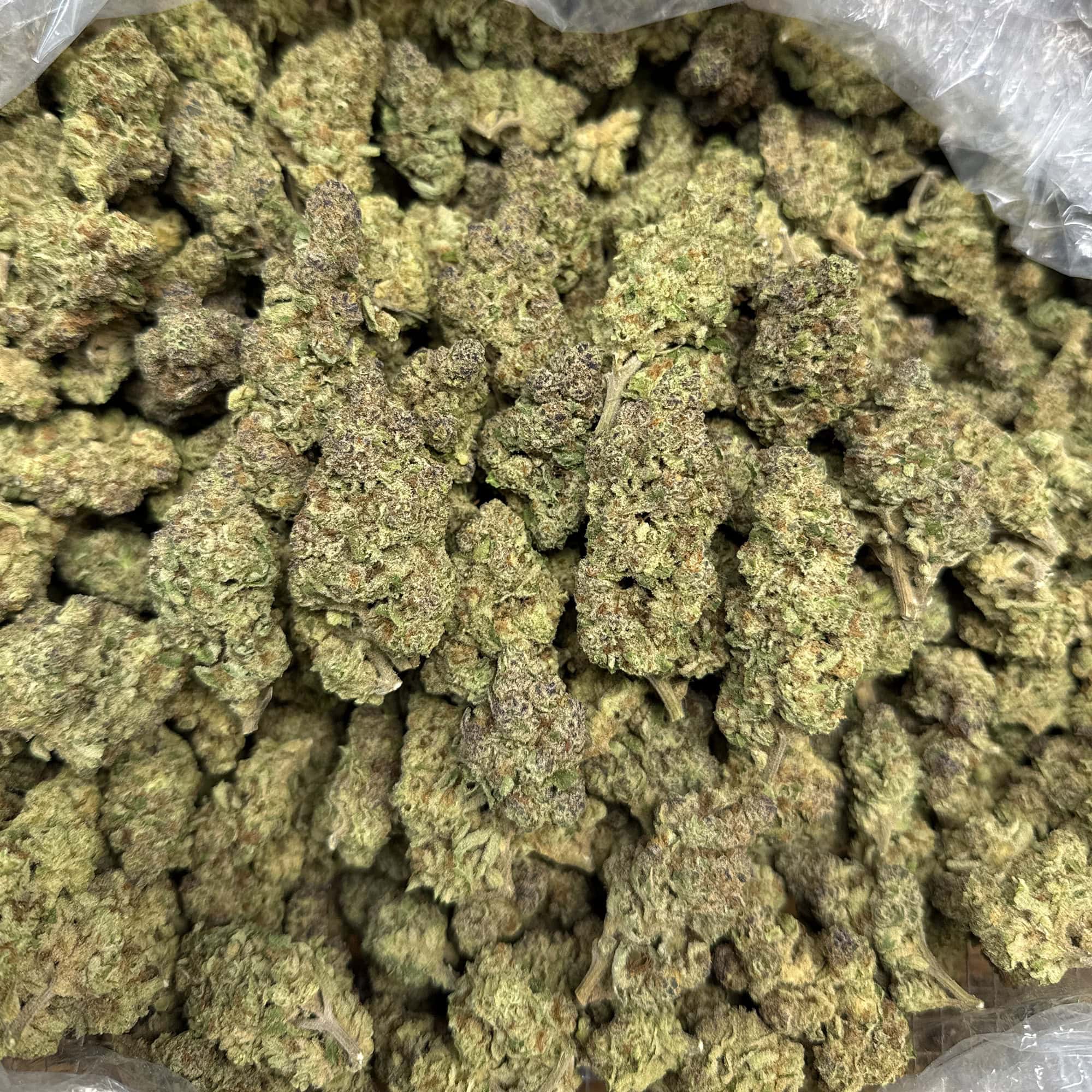 GMO Grapes THCA Flower For Sale