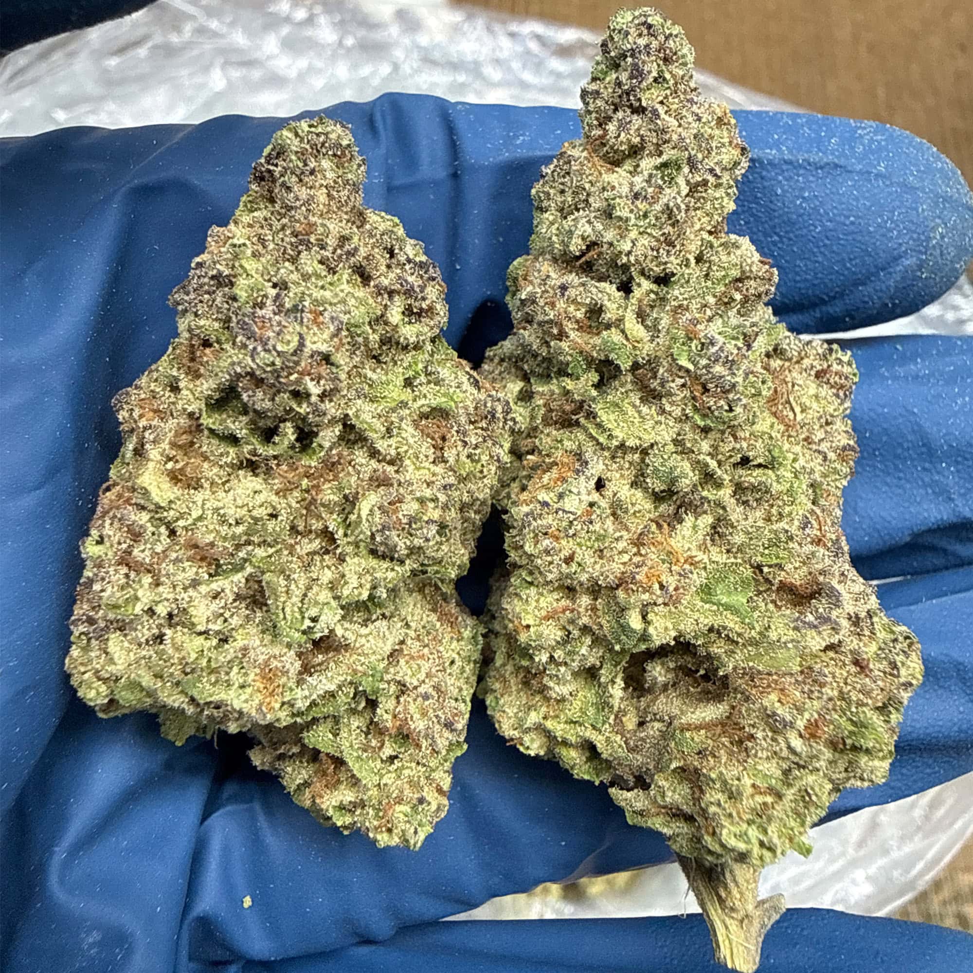 GMO Grapes THCA Flower Ounces