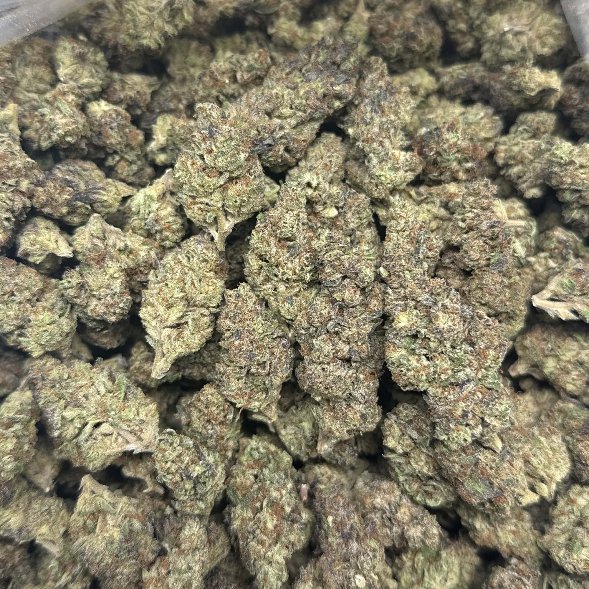 Garlic Mintz THCA Ounces for Sale