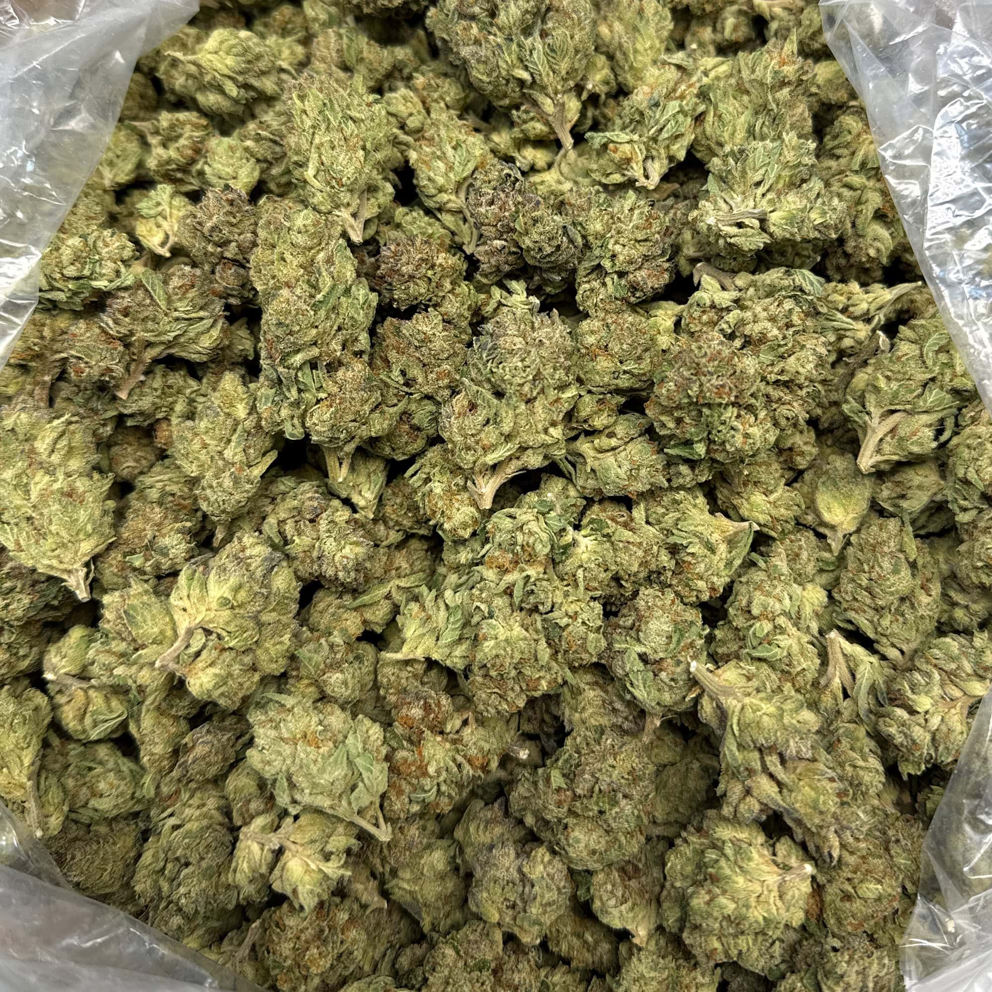 Grape Ape THCA Flower Cheap