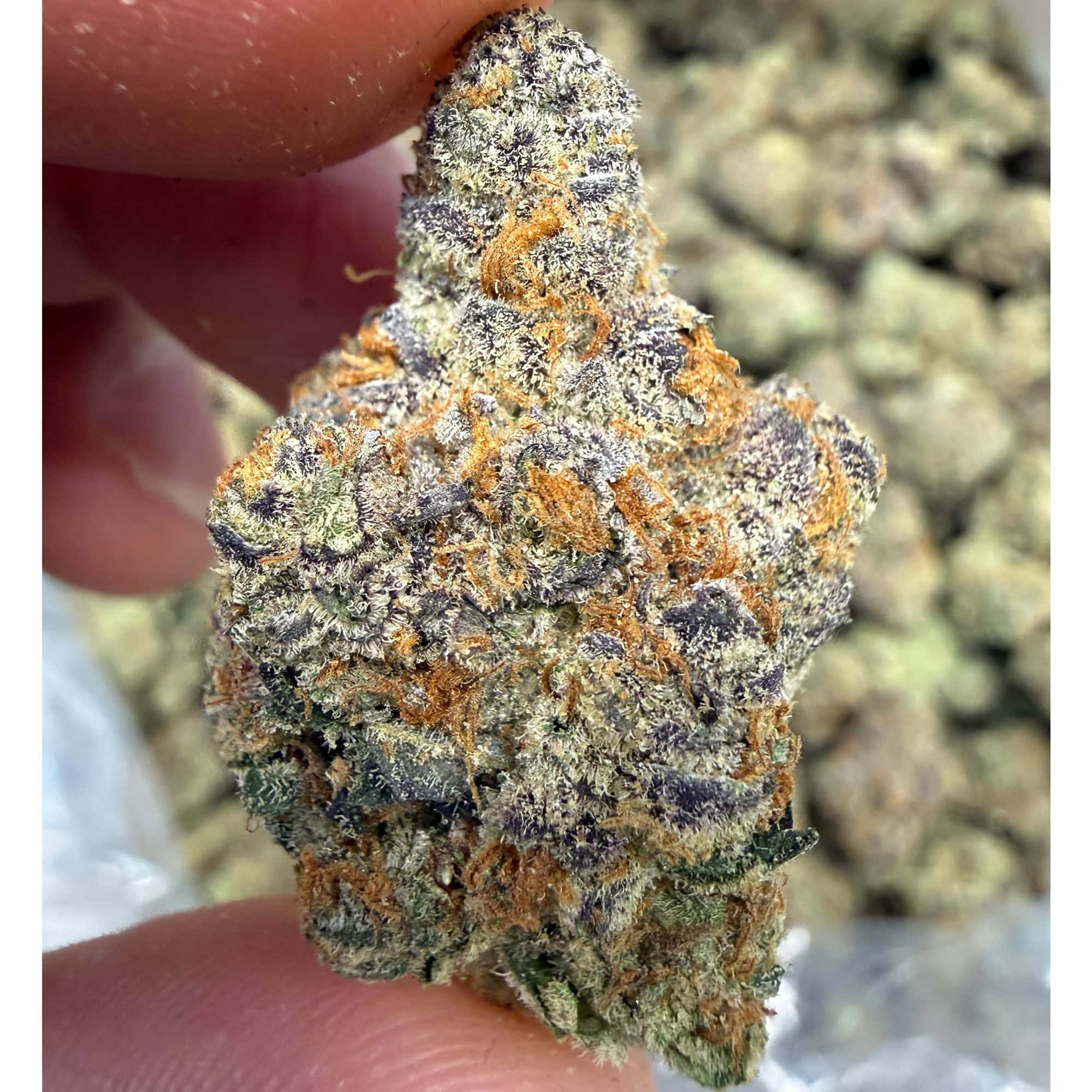 Gushers Purple THCA Flower Pounds
