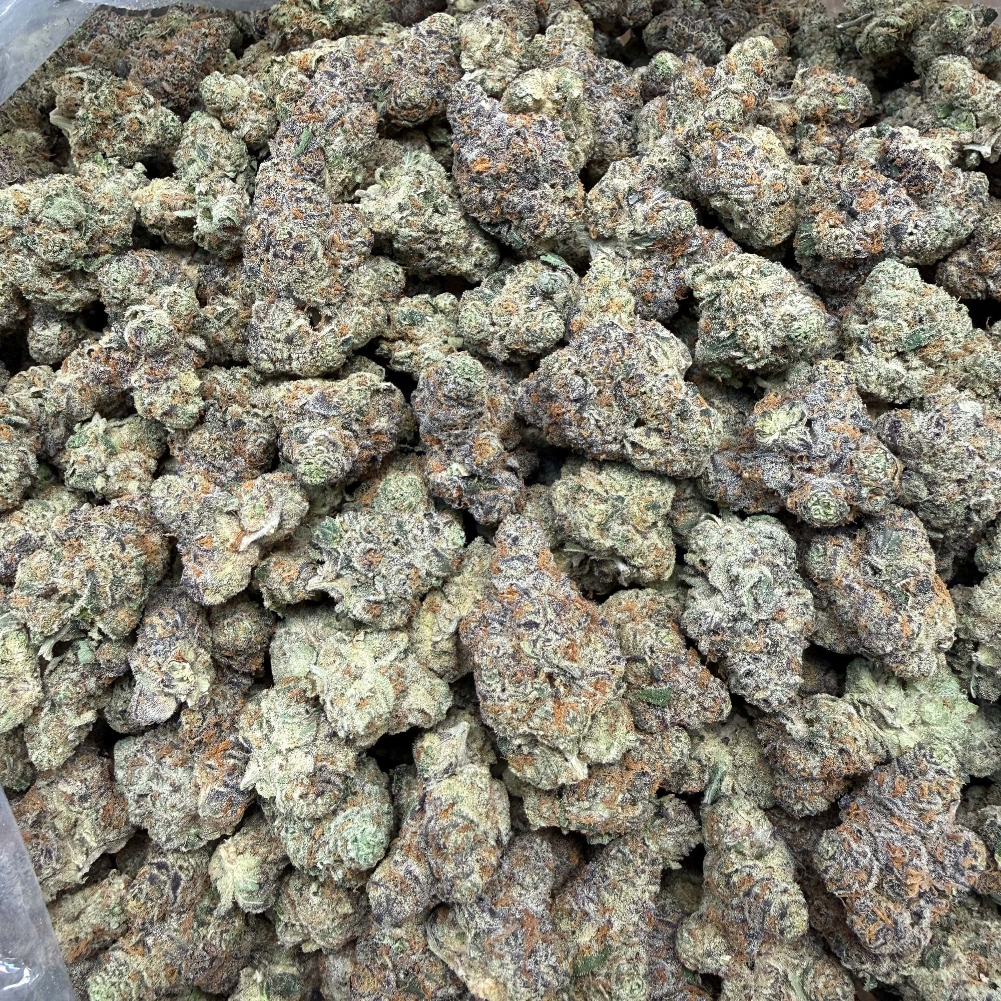Gushers Cheap THCA Flower for Sale