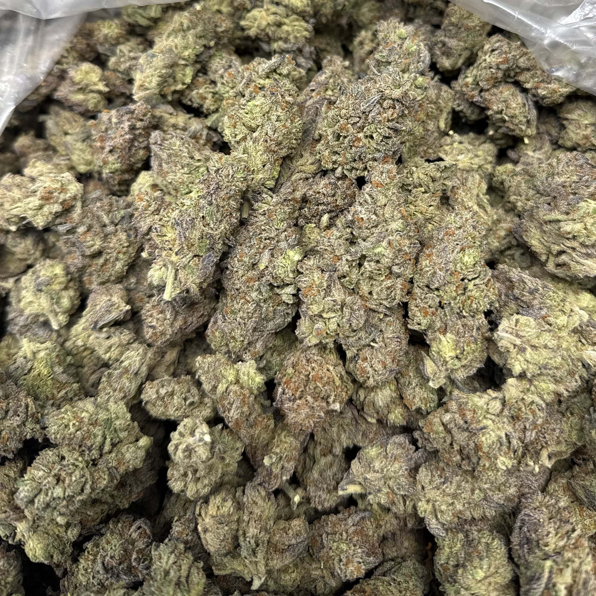 White Truffle Cheap THCA Flower