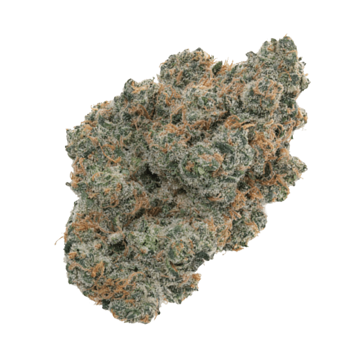 Buy Wholesale THCA Flower Pounds